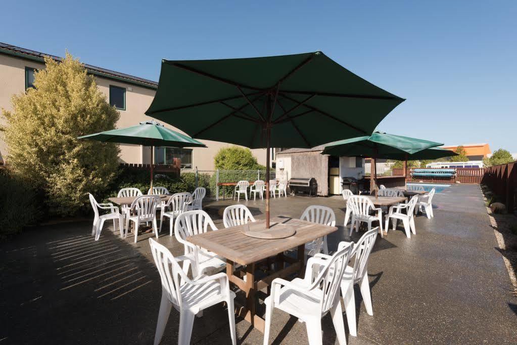 Lobster Inn Motel Кайкоура Екстер'єр фото